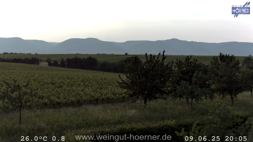 Webcam Weinberge Hochstadt