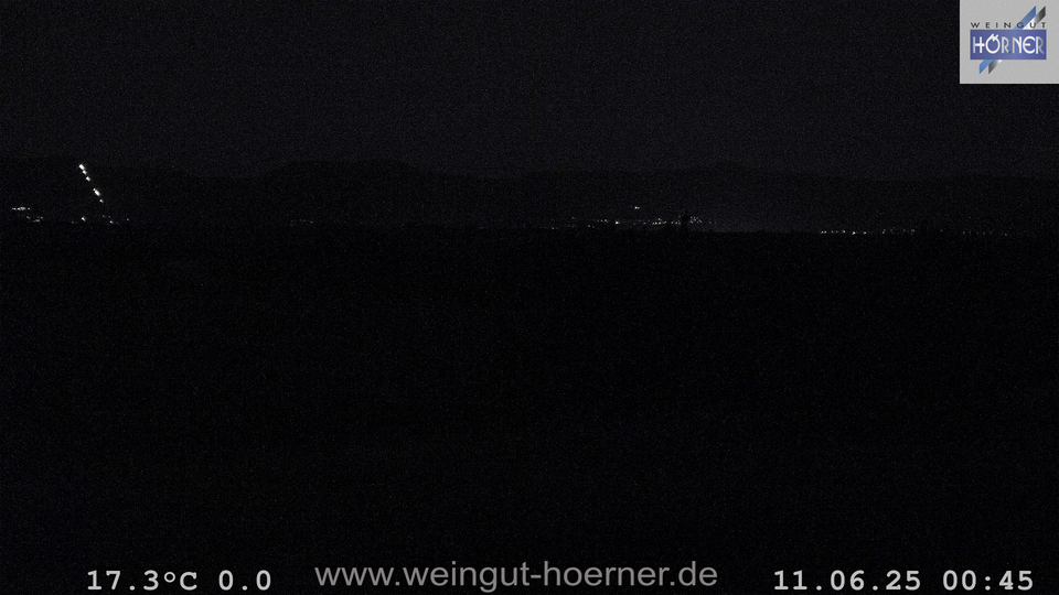 Webcam Weinberge Hochstadt
