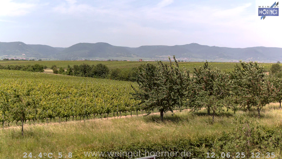 Webcam Weinberge Hochstadt