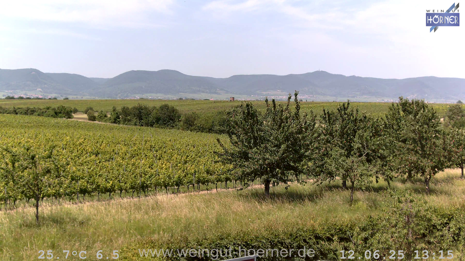 Webcam Weinberge Hochstadt