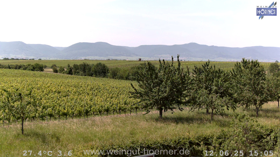 Webcam Weinberge Hochstadt