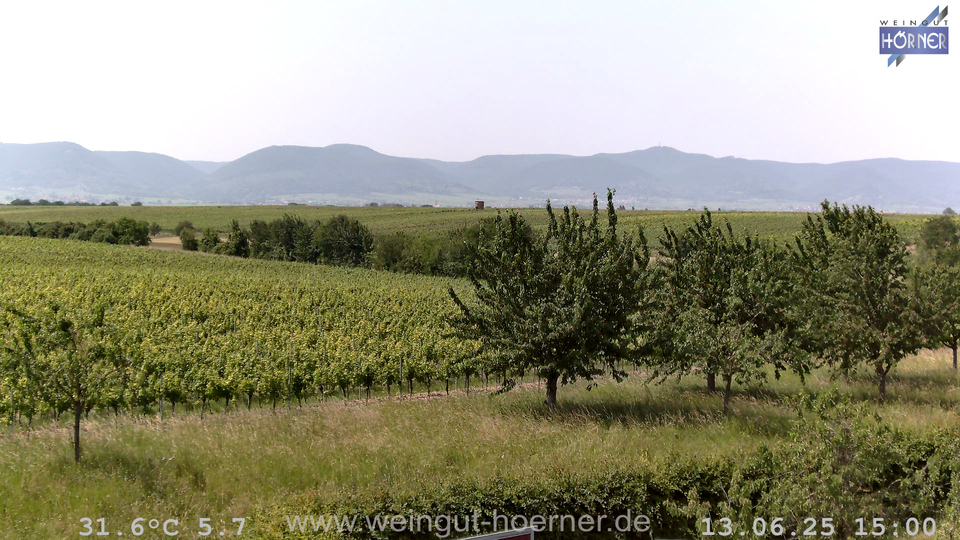 Webcam Weinberge Hochstadt