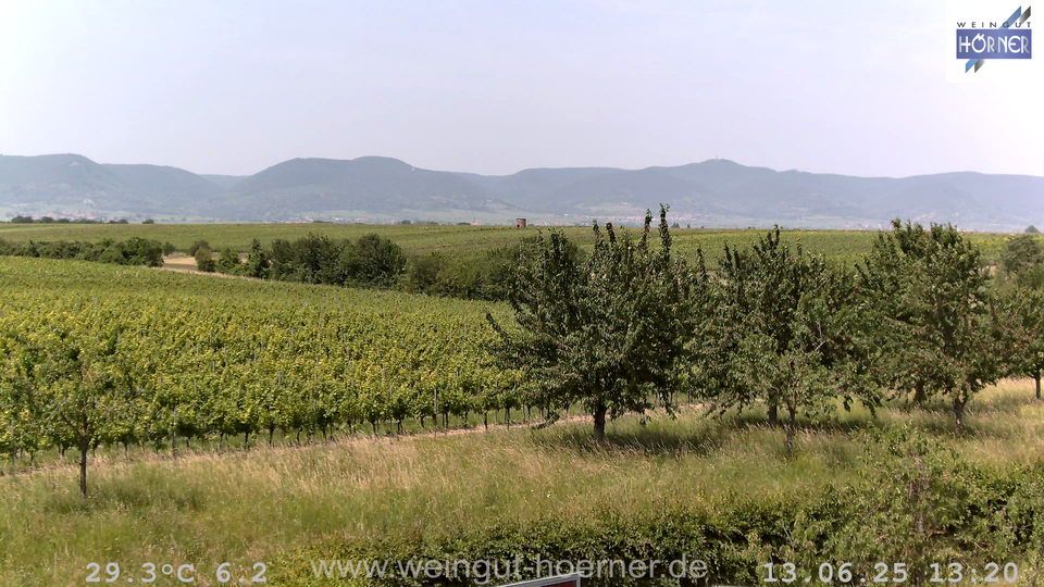 Webcam Weinberge Hochstadt