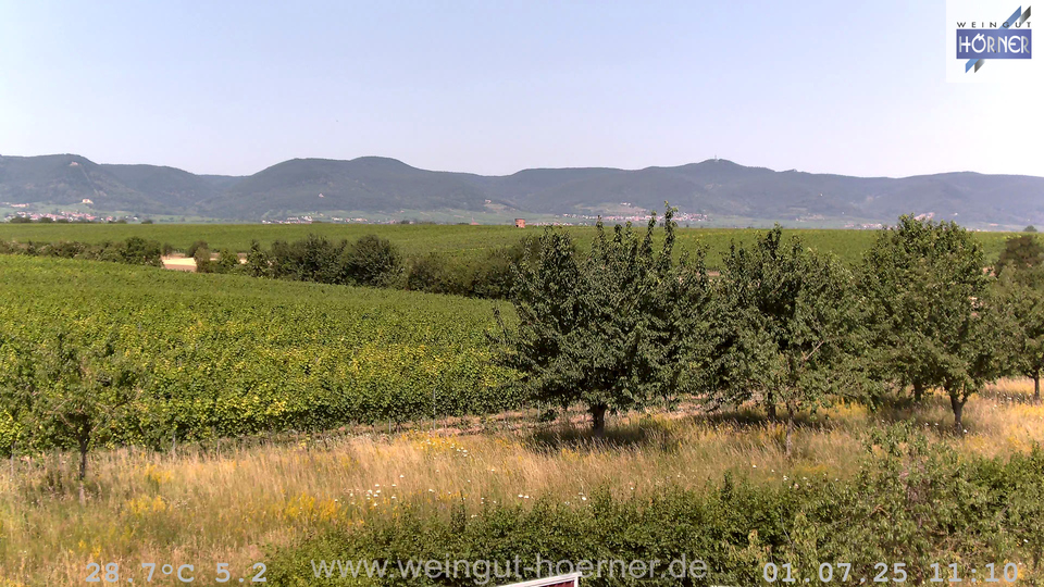 Webcam Weinberge Hochstadt
