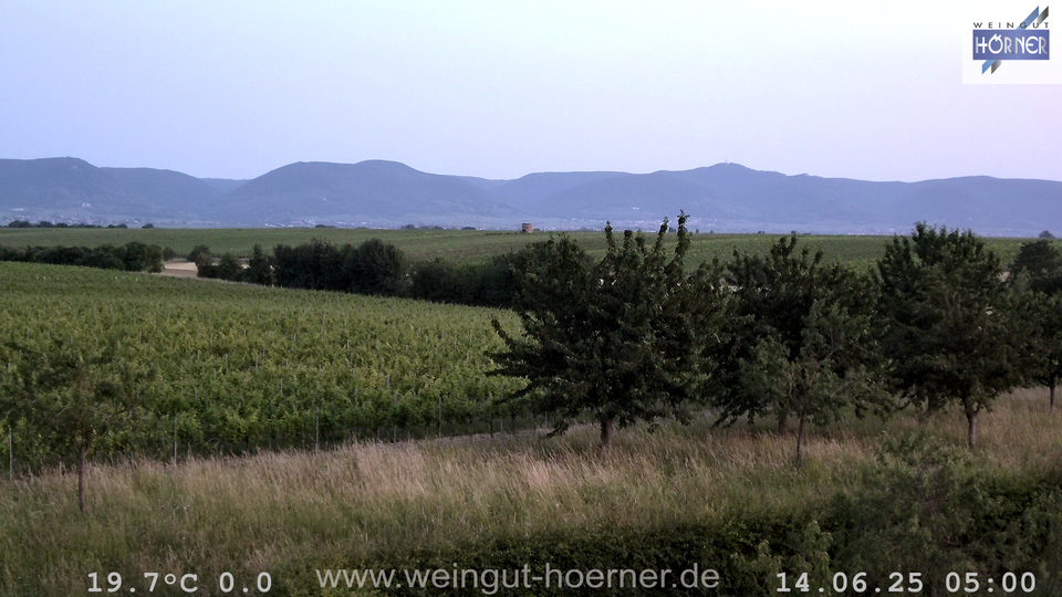 Webcam Weinberge Hochstadt