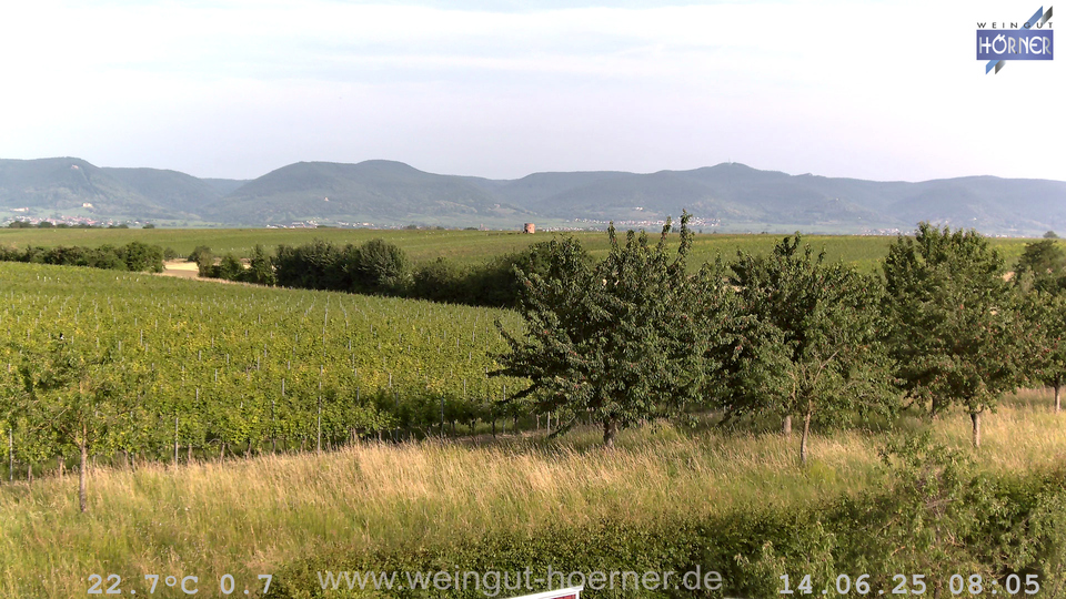 Webcam Weinberge Hochstadt