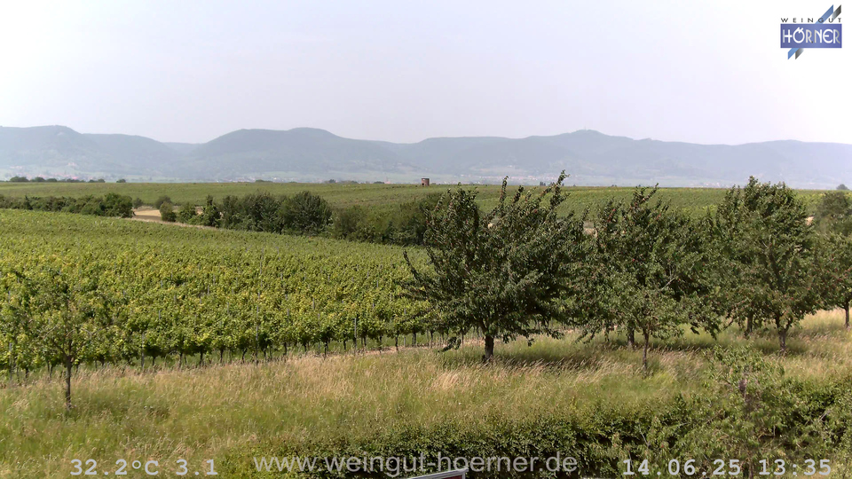 Webcam Weinberge Hochstadt