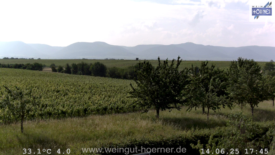 Webcam Weinberge Hochstadt