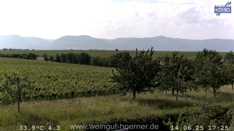Webcam Weinberge Hochstadt