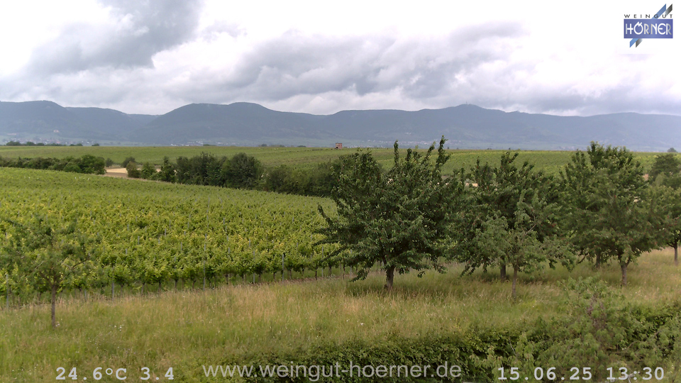 Webcam Weinberge Hochstadt