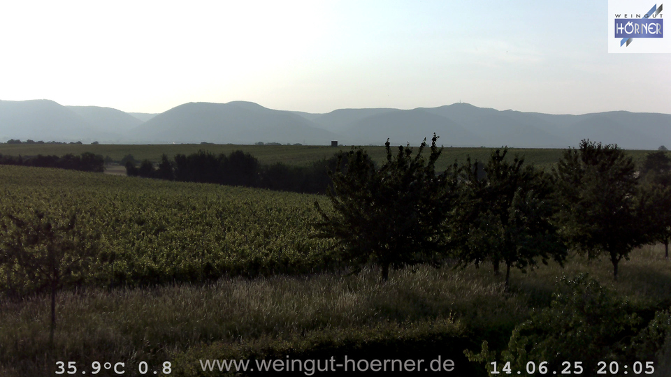 Webcam Weinberge Hochstadt