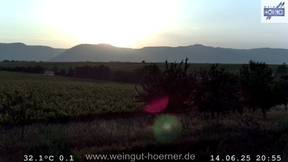 Webcam Weinberge Hochstadt