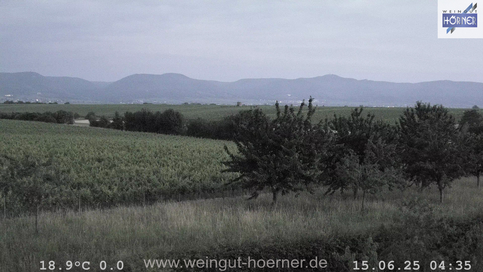 Webcam Weinberge Hochstadt
