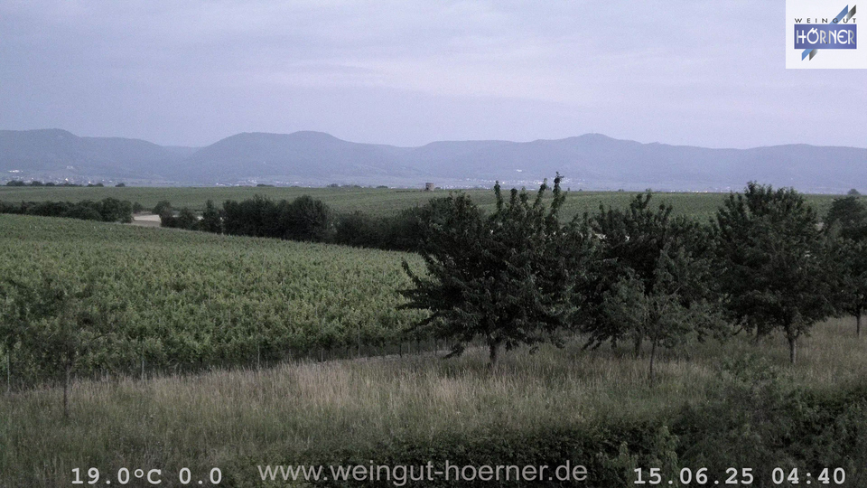 Webcam Weinberge Hochstadt