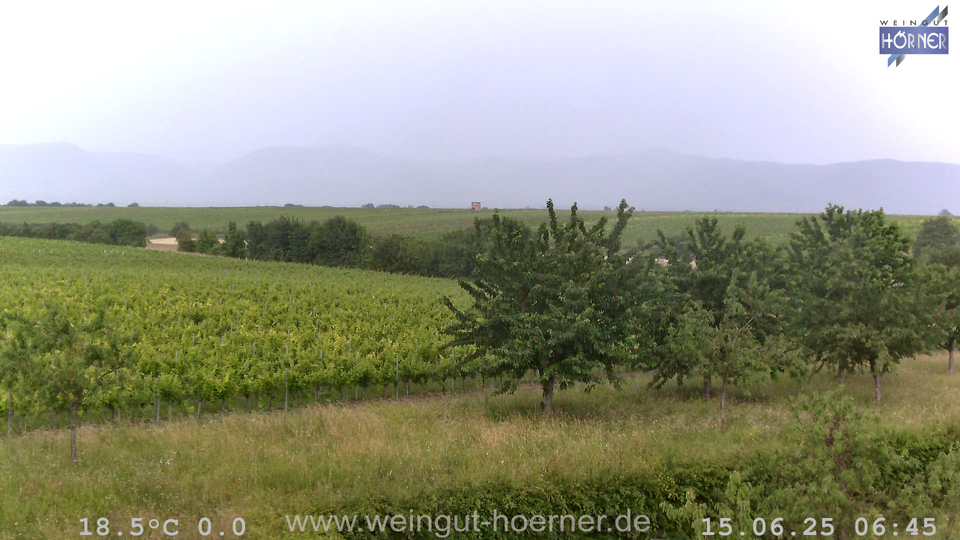Webcam Weinberge Hochstadt