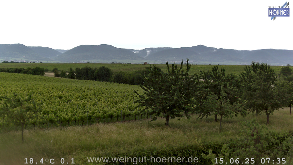 Webcam Weinberge Hochstadt