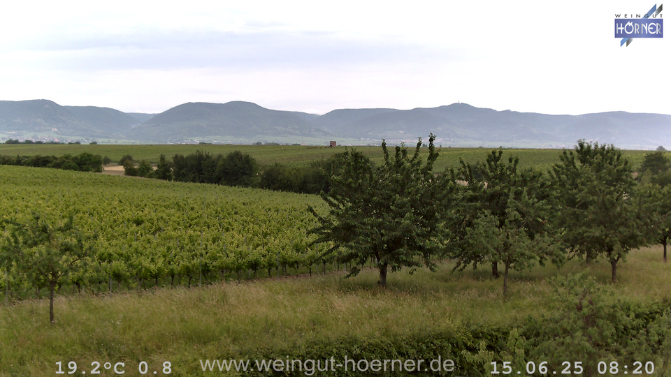 Webcam Weinberge Hochstadt