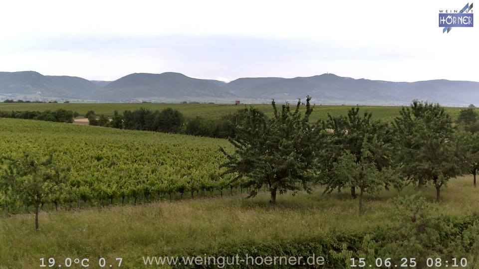 Webcam Weinberge Hochstadt