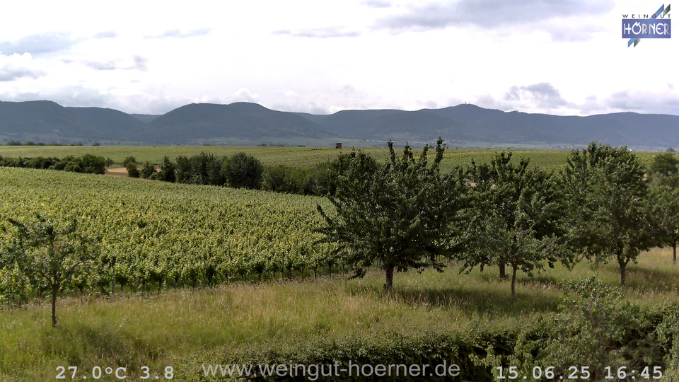 Webcam Weinberge Hochstadt