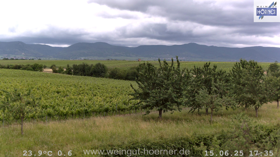 Webcam Weinberge Hochstadt