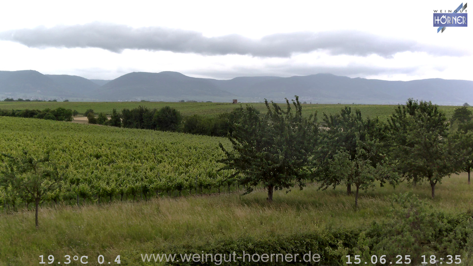 Webcam Weinberge Hochstadt
