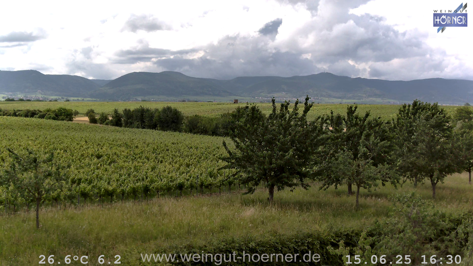 Webcam Weinberge Hochstadt