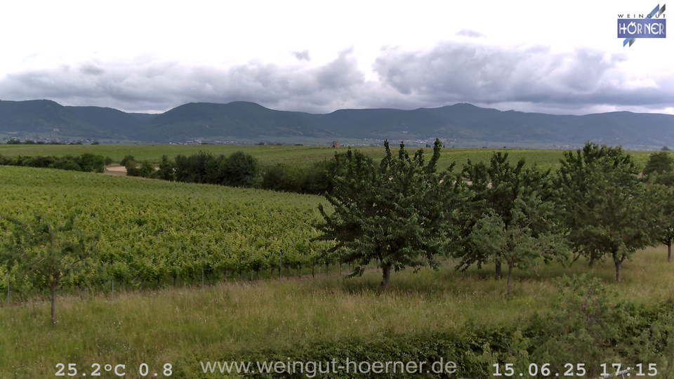 Webcam Weinberge Hochstadt