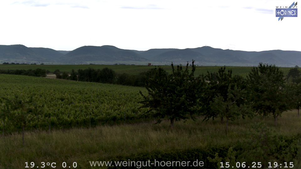 Webcam Weinberge Hochstadt