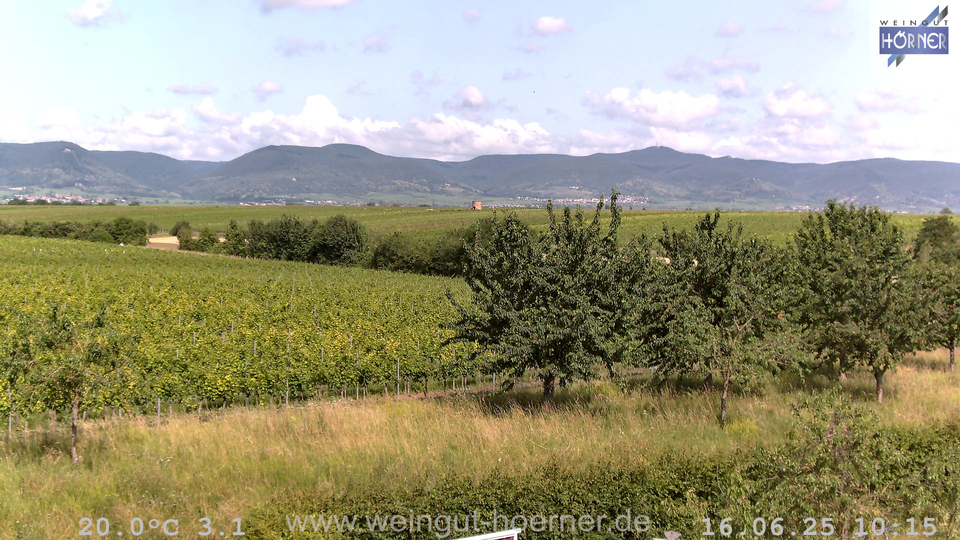 Webcam Weinberge Hochstadt