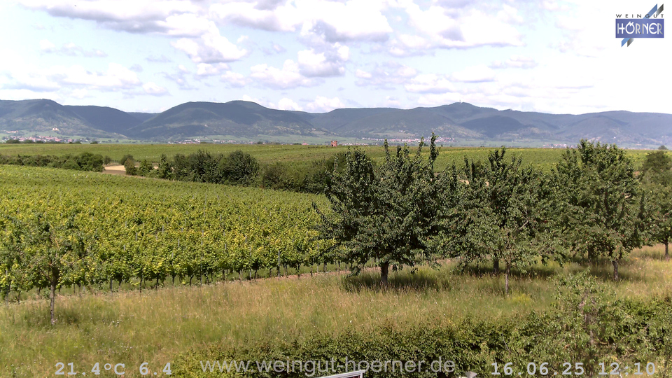 Webcam Weinberge Hochstadt