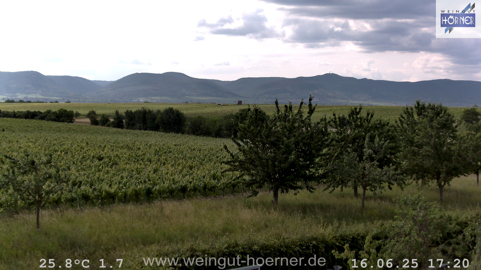 Webcam Weinberge Hochstadt