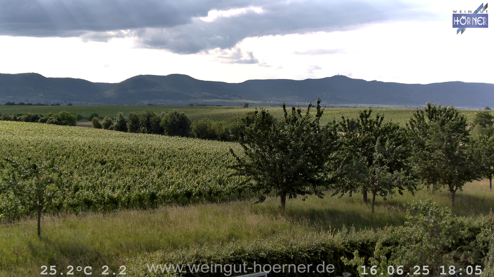 Webcam Weinberge Hochstadt