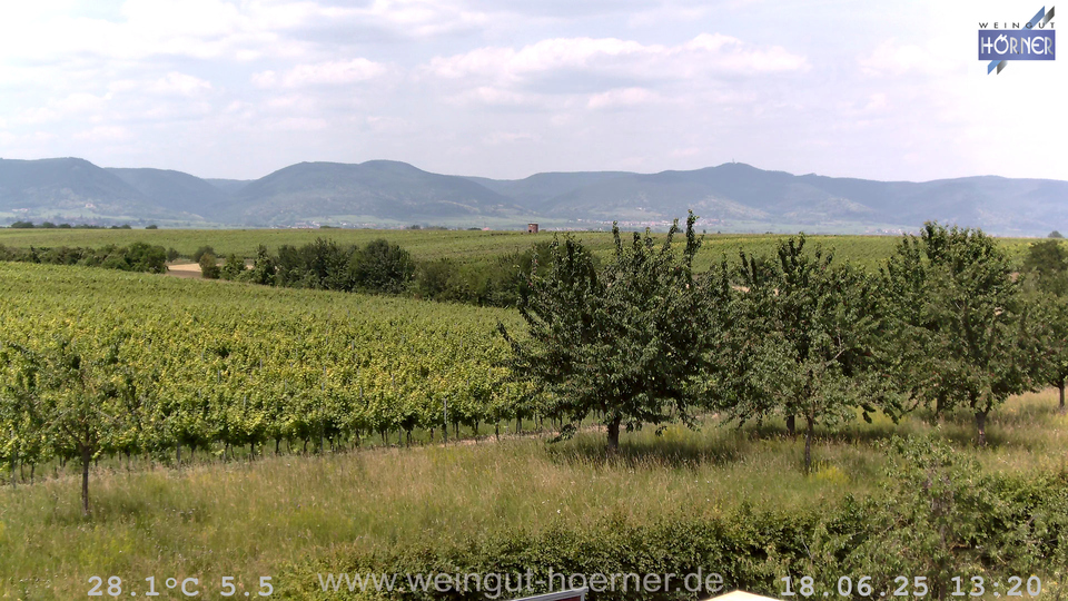 Webcam Weinberge Hochstadt