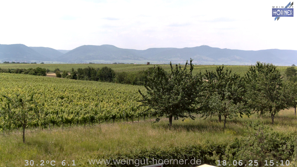 Webcam Weinberge Hochstadt