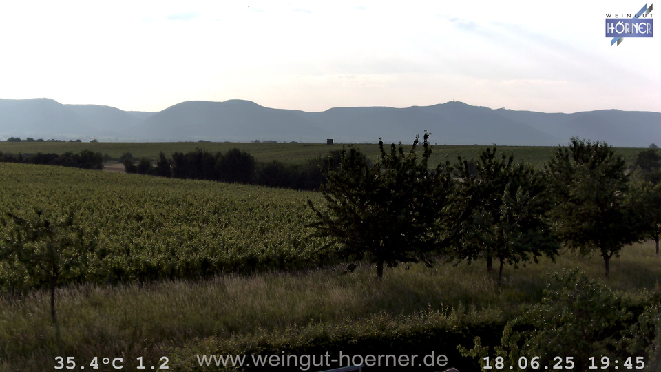 Webcam Weinberge Hochstadt