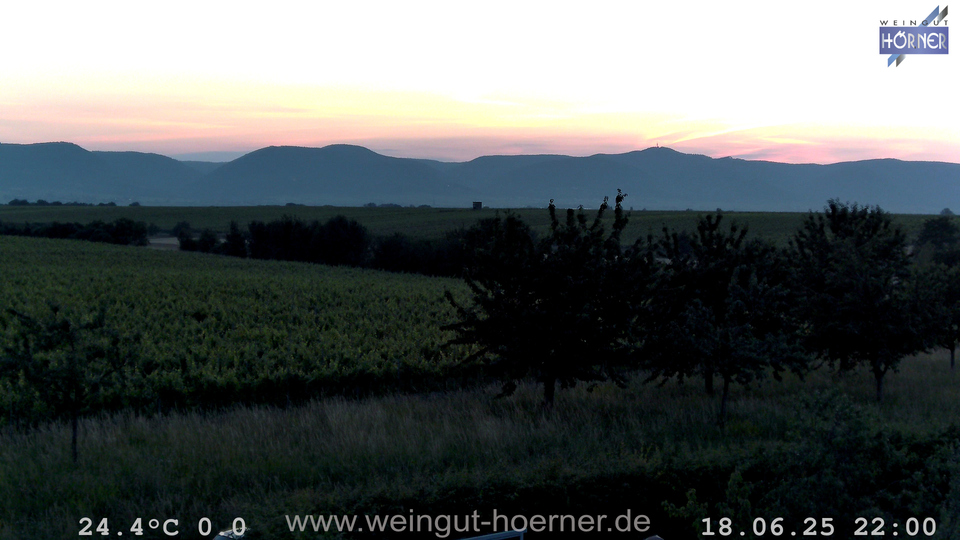 Webcam Weinberge Hochstadt