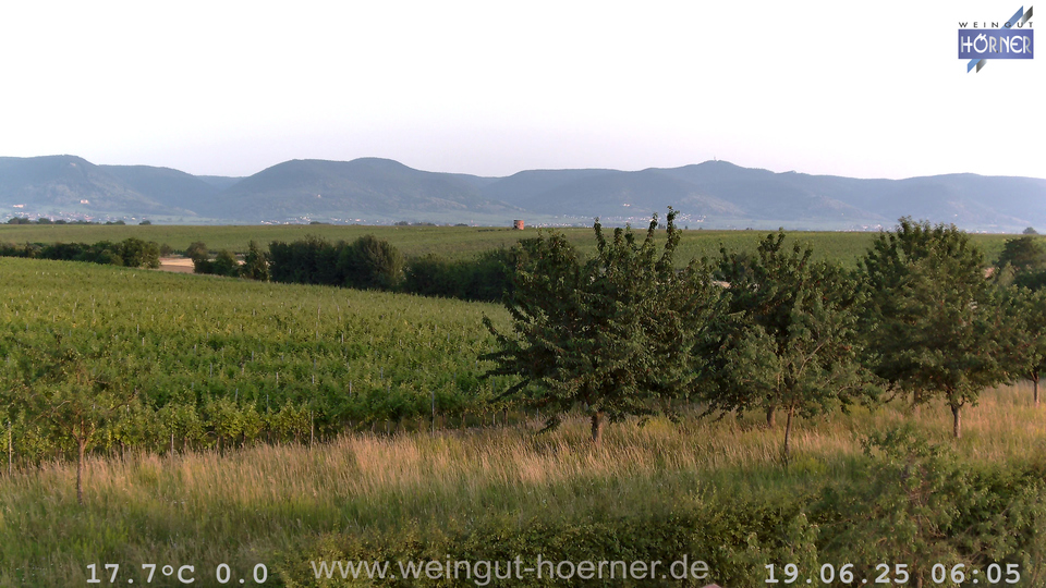 Webcam Weinberge Hochstadt