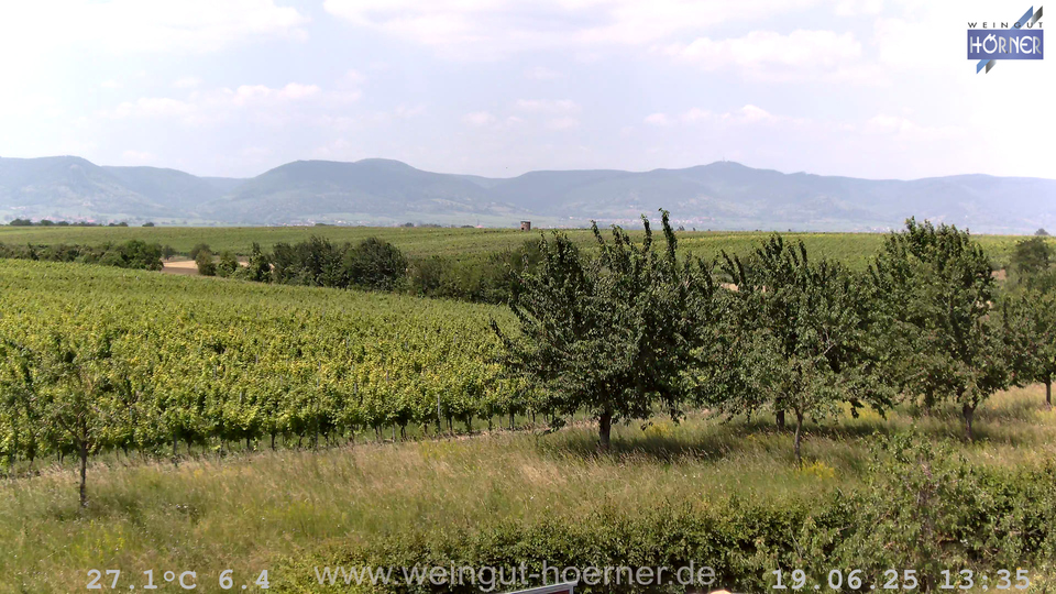 Webcam Weinberge Hochstadt