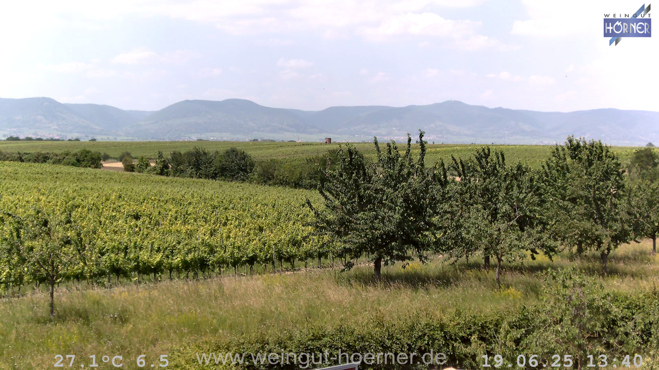 Webcam Weinberge Hochstadt