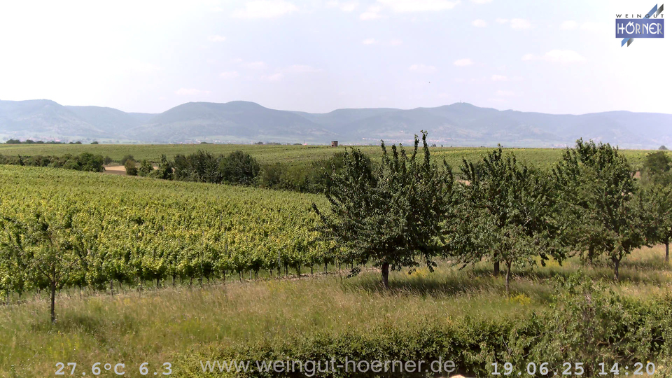 Webcam Weinberge Hochstadt
