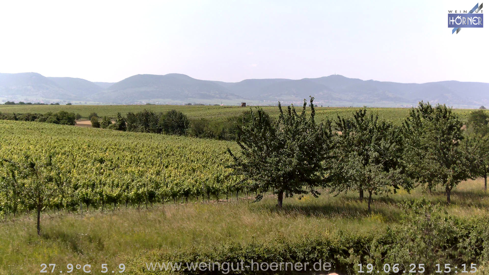 Webcam Weinberge Hochstadt