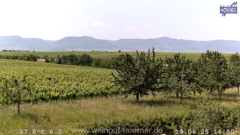 Webcam Weinberge Hochstadt