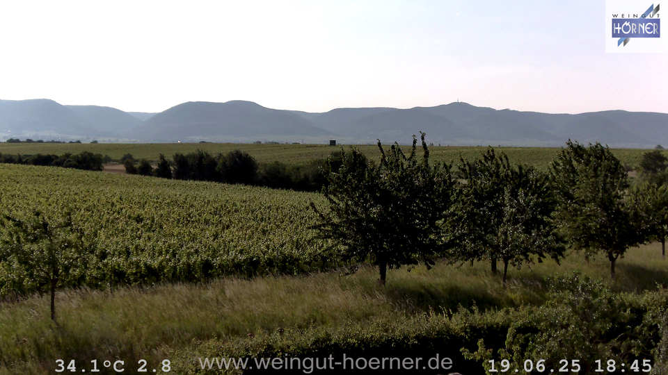 Webcam Weinberge Hochstadt