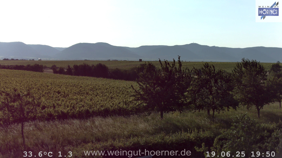 Webcam Weinberge Hochstadt