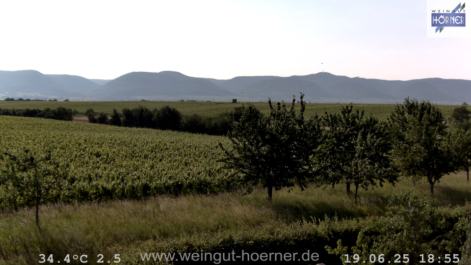 Webcam Weinberge Hochstadt