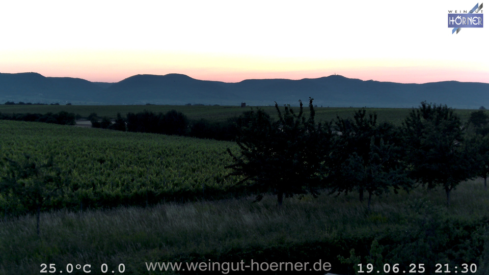 Webcam Weinberge Hochstadt