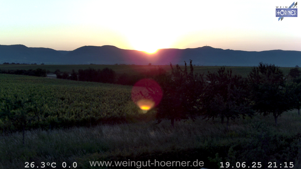 Webcam Weinberge Hochstadt