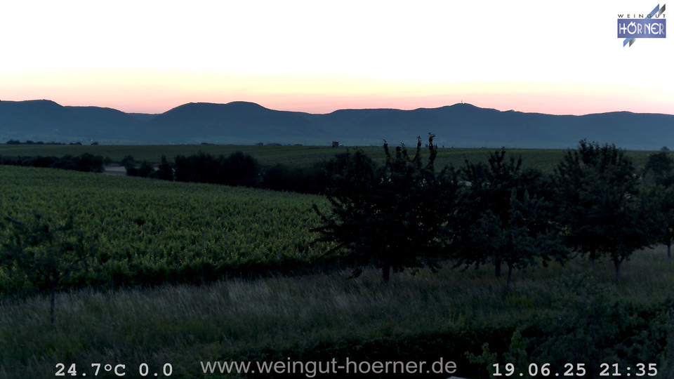 Webcam Weinberge Hochstadt