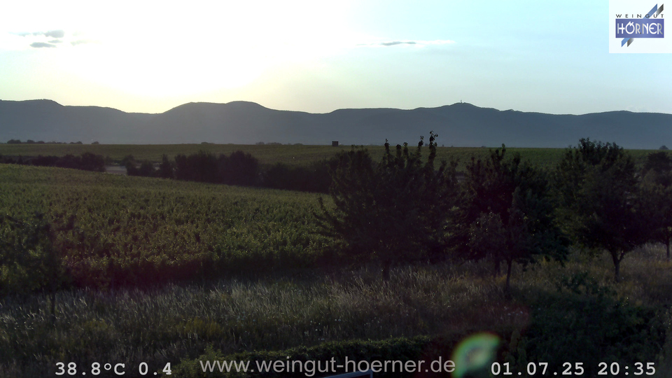 Webcam Weinberge Hochstadt