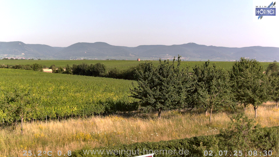 Webcam Weinberge Hochstadt